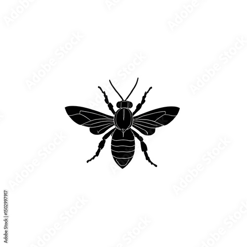 honeybee with geometric wing patterns 