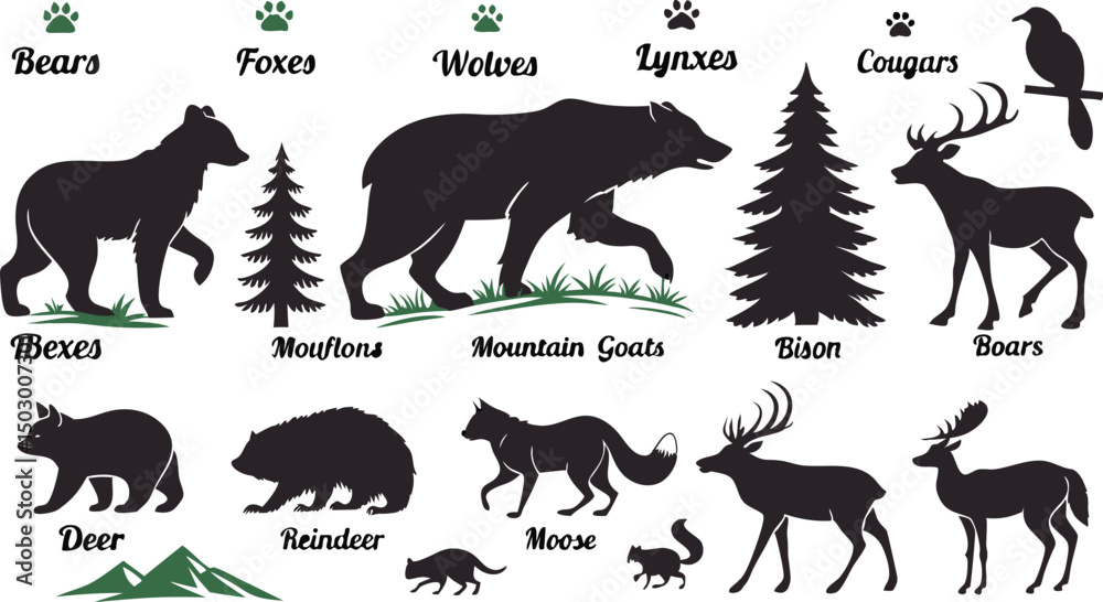 Naklejka premium A detailed vector illustration of various wild forest animals in black silhouette style on a white background. Include multiple poses of each animal. Animals featured should include: bear, fox, wolf,
