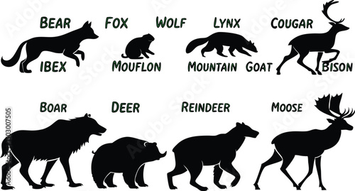 Photography A detailed vector illustration of various wild forest animals in black silhouette style on a white background