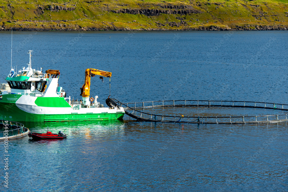 Fototapeta premium Salmon Farming - Faroe Islands