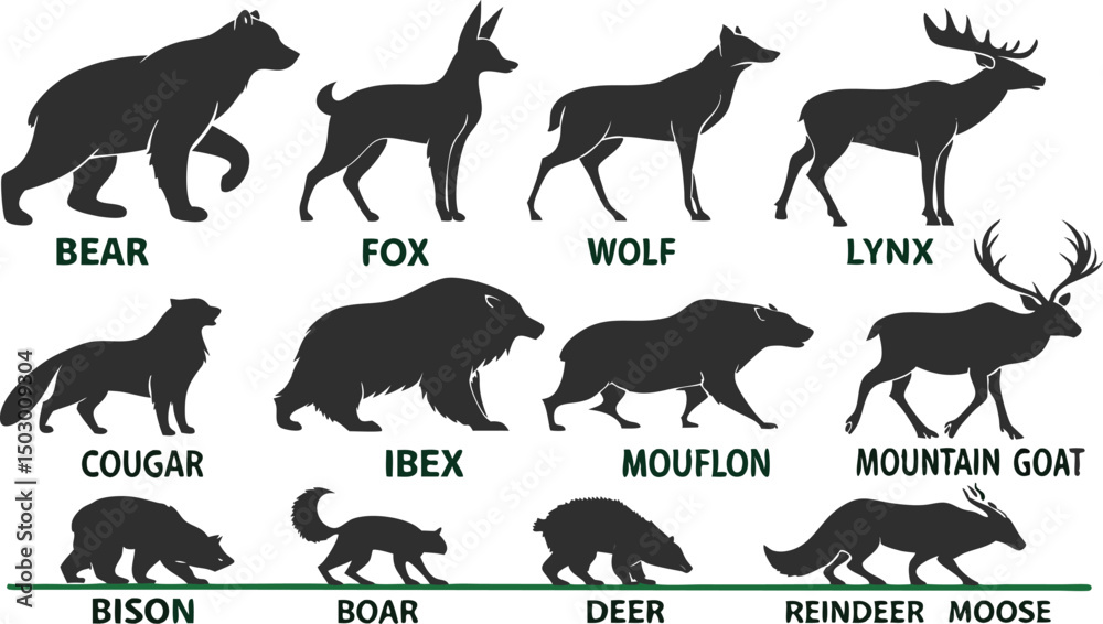 Fototapeta premium A detailed vector illustration of various wild forest animals in black silhouette style on a white background. Include multiple poses of each animal. Animals featured should include: bear, fox, wolf, 