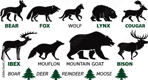A detailed vector illustration of various wild forest animals in black silhouette style on a white background. Include multiple poses of each animal. Animals featured should include: bear, fox, wolf, 