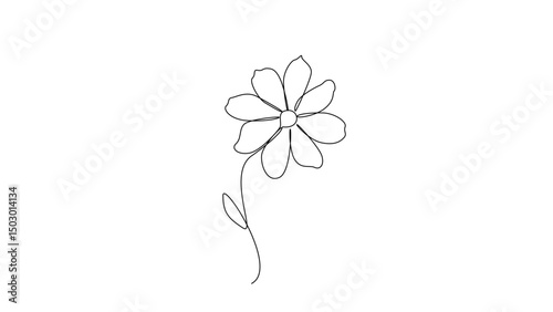 Elegant Minimalist Line Art Flower Drawing Simple Daisy Bloom Illustration