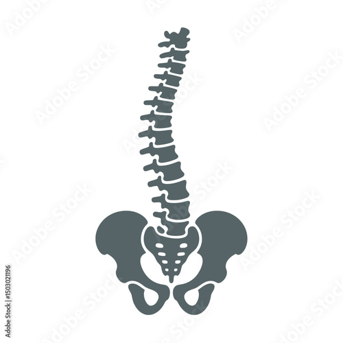 Vertebrae Silhouette vector Art & Illustration, Human Bone, Human organ silhouette on a white background