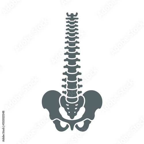 Vertebrae Silhouette vector Art & Illustration, Human Bone, Human organ silhouette on a white background
