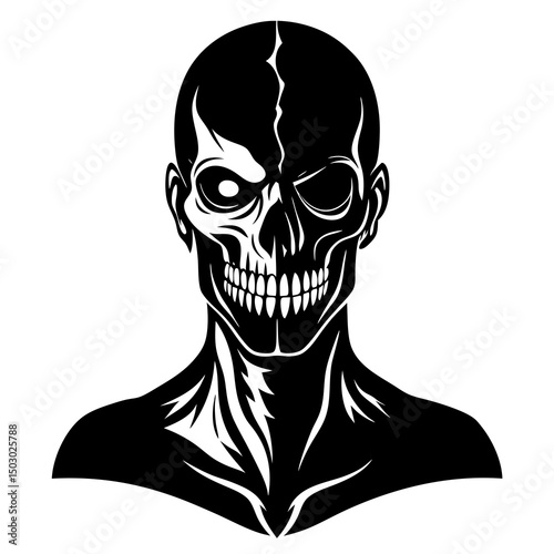 human skull vector illustration