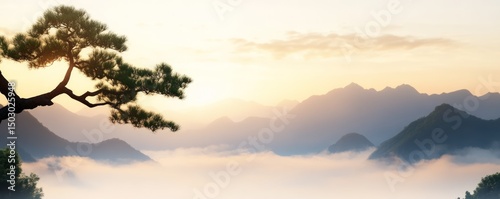 Tranquil mountain landscape with mist at sunrise and pine tree silhouette