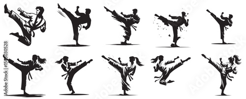 silhouette vector of a karate