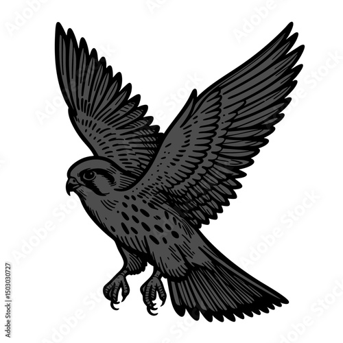 Majestic Falcon in Flight: A Black and White Illustration