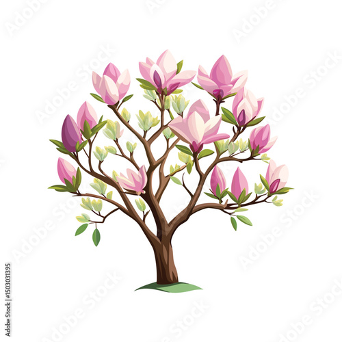 A beautifully illustrated magnolia tree with pink blossoms