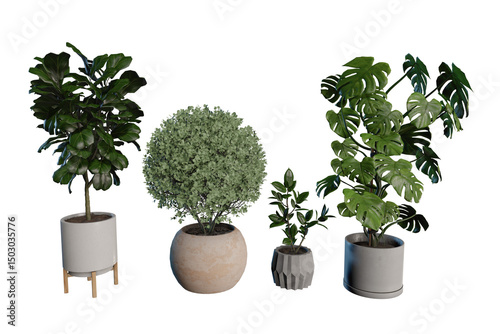 Plant tree in pot