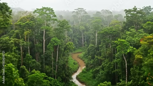 Lush Green Rainforest with Winding River Surrounded by Dense Foliage and Misty Background