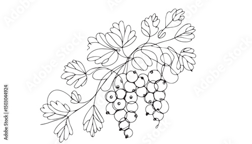 Continuous one single minimal line drawing Currants fruits