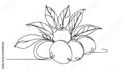 Continuous one single minimal line drawing Cranberry fruits
