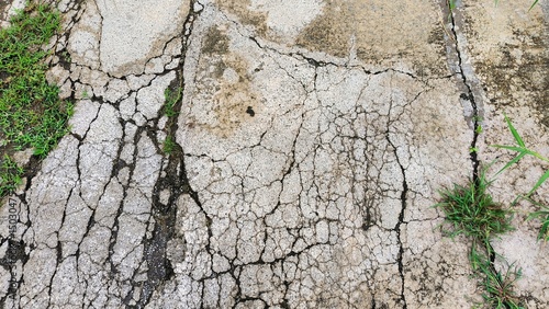 Cracked Concrete Pavement with Grass Growing Through