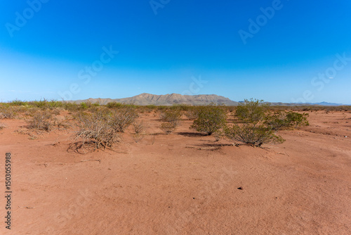 Blue sky over the Chihuahuan desert in Texas
