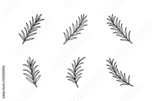 rosemary sprig icon line art vector illustration