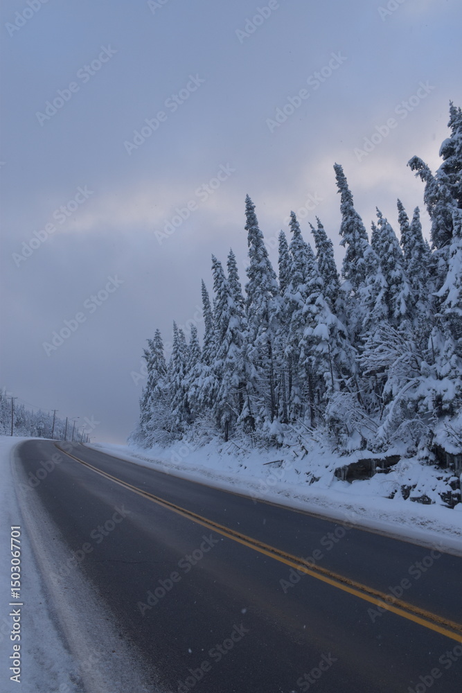 Obraz premium A country road in winter, Québec, Canada