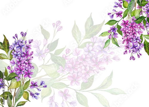 Lilac Watercolor Illustration. Hand Drawn Lilac Branches Isolated. Lilac flower background.  Watercolor Painting of Lilac.  Purple Flowers Watercolor. Elegant Floral Design Template