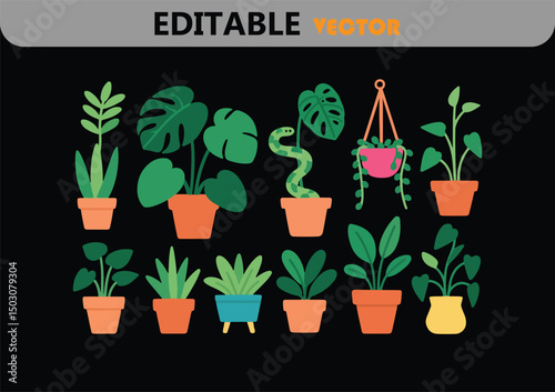 Collection of houseplants in pots vector illustration
