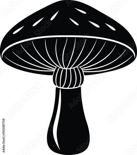 vector illustration of mushroom