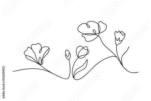 Minimalist line art illustration of delicate blooming flowers with linear drawing style