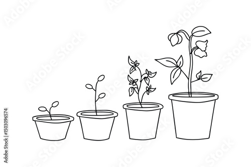 Hand drawn illustration depicting a plant growing through different stages in pots