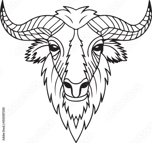 A Buffalo head line art