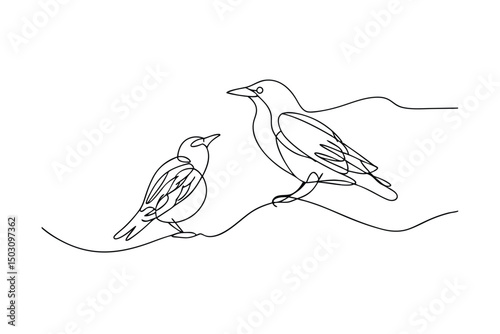 Elegant minimalist line art illustration depicting two birds perched on a branch against white