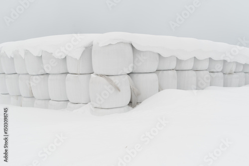 Canvastavla snow covered haystacks