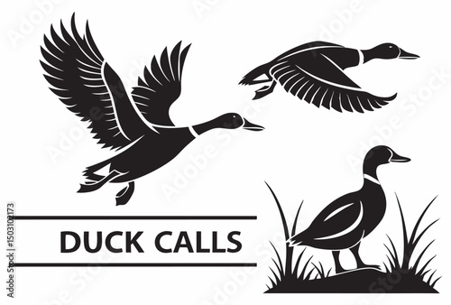 A collection of vector bird silhouettes, including eagles, ravens, and doves, illustrating the freedom of winged wildlife