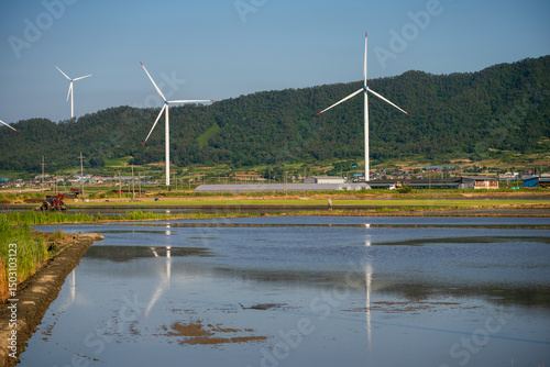 Serene Rural Landscape: Rice Paddy, Village, Wind Turbines, and Forested Hills