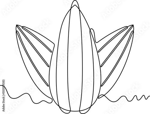 one line art Sunflower Seeds vector illustration. line art, one continuous line, simple, hand drawn and sketch style. for icons, symbols, signs or logos. PNG