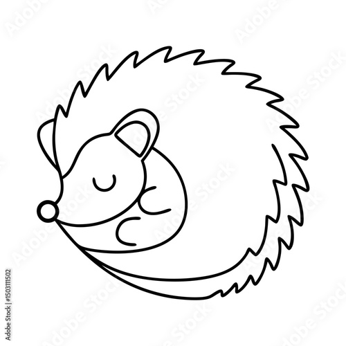 Sleeping hedgehog illustration, in black and white, for children's book illustrations