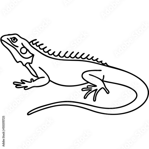 Line drawing of a lizard, for educational resources
