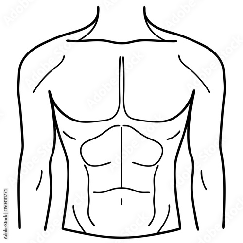 Male torso line drawing, anatomical illustration for medical purposes
