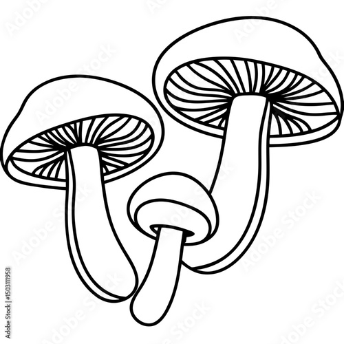 Line art mushrooms illustration, black and white, for culinary design