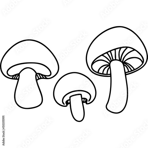 Three mushrooms line drawing, simple style, black and white, for food blogs