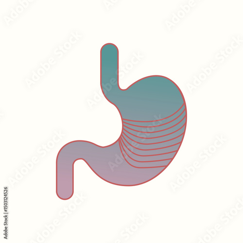Stylized human stomach vector illustration