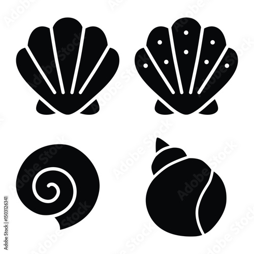Set shells vector image on