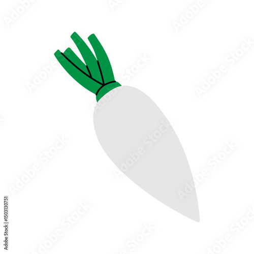 Radish. Fresh organic vegetable. Vector illustration