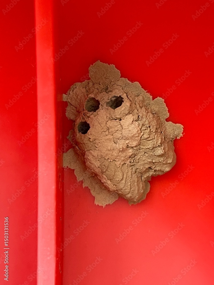 Φωτογραφία A detailed close up of an organic mud dauber wasp nest attached to a vibrant red plastic surface
