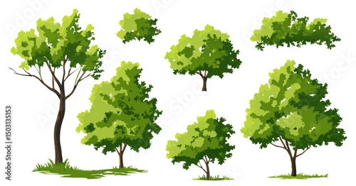 Collection of Green Trees, Lush Foliage Illustrations