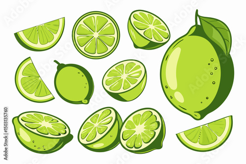 Limes: Whole, Halved, & Sliced - Lime Fruit Illustration
