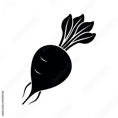 daikon radish black white vector silhouette