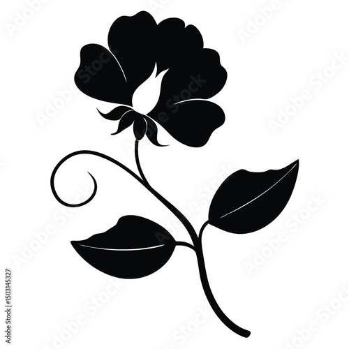 Elegant black silhouette sweet pea flower botanical illustration