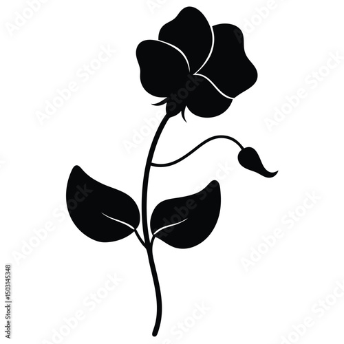 Elegant black silhouette sweet pea flower botanical illustration