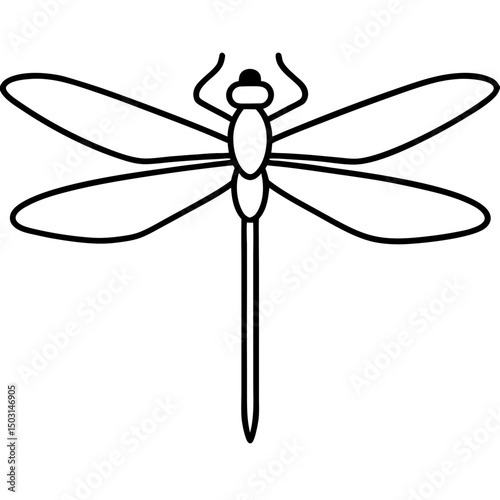 dragonfly on white background