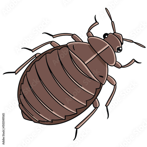 Top Down Vector of a Bed Bug in Detailed Realistic Style with Accurate Anatomical Features

