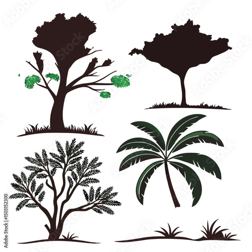 Vector Set of Different Tree Types Illustration Various Species Nature Plants Forest Botanical Design

